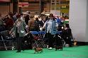 Crufts2011_2 962